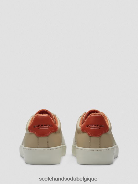 chaussure Scotch & Soda sneaker plakka en cuir et daim- Scotch and Soda Namur sable multi 6BZRBF697